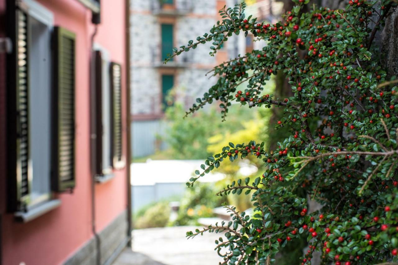 Residence Casa Rosa Gera Lario Kültér fotó